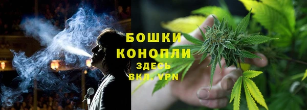 каннабис Новозыбков