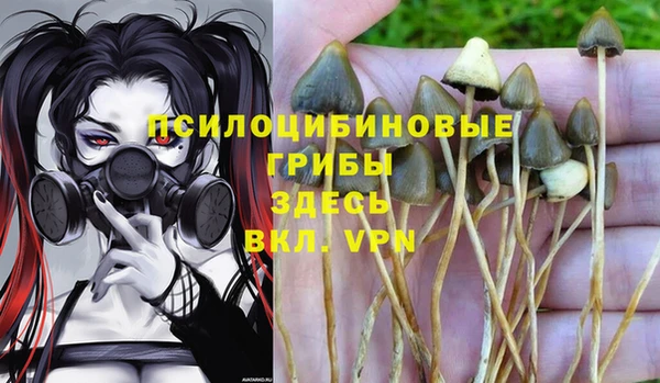 jwh Новокубанск