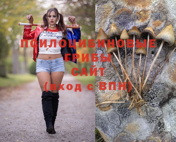 гидра Нефтекумск
