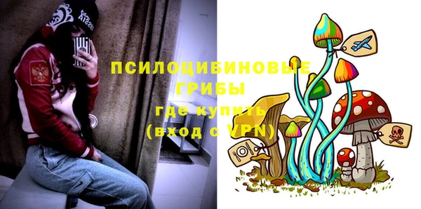 гидра Нефтекумск