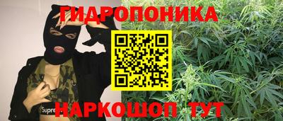 прущая мука Кандалакша