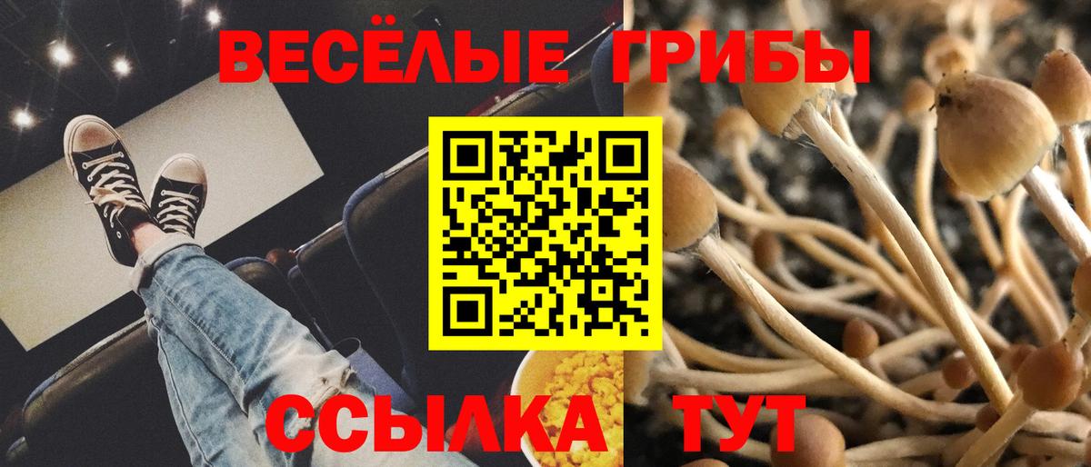 Галлюциногенные грибы Cubensis  Вход с VPN  Новотроицк 