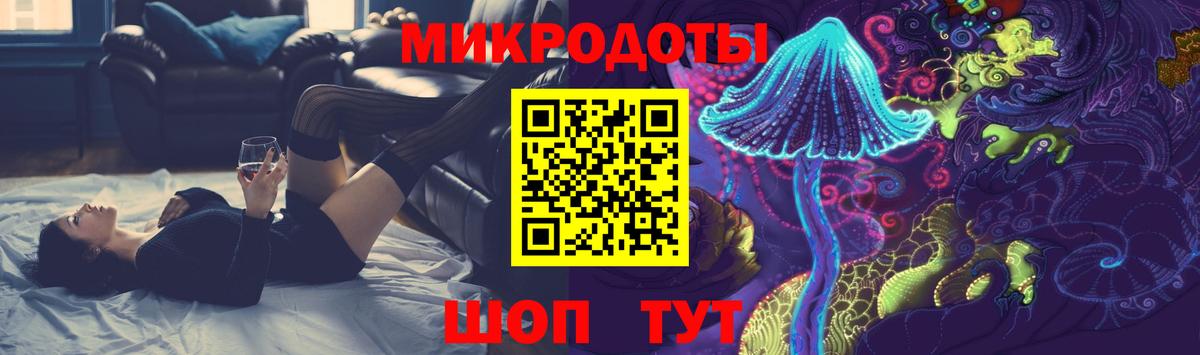 Псилоцибиновые грибы Psilocybe Новотроицк