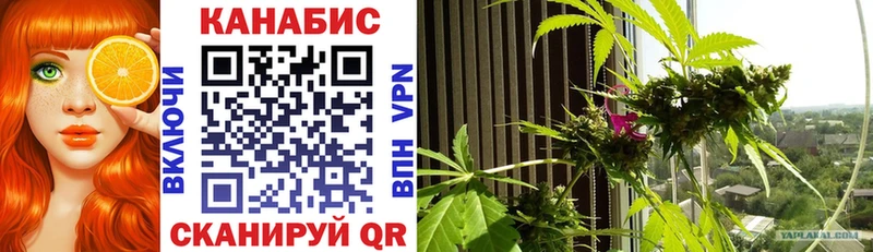 хочу наркоту  Новотроицк  Бошки марихуана Bruce Banner 